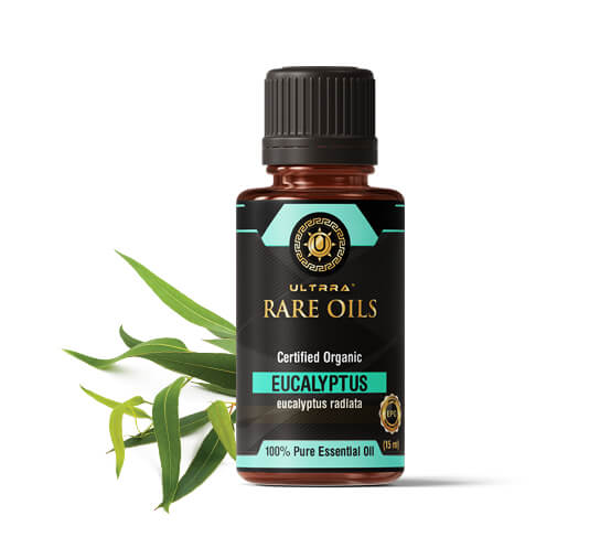 Eucalyptus Radiata