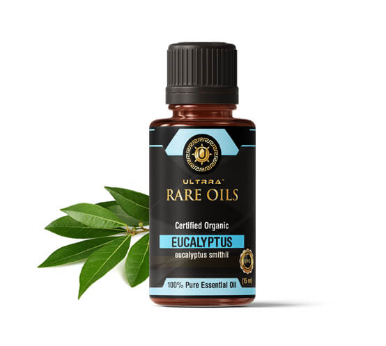 Eucalyptus Smithii