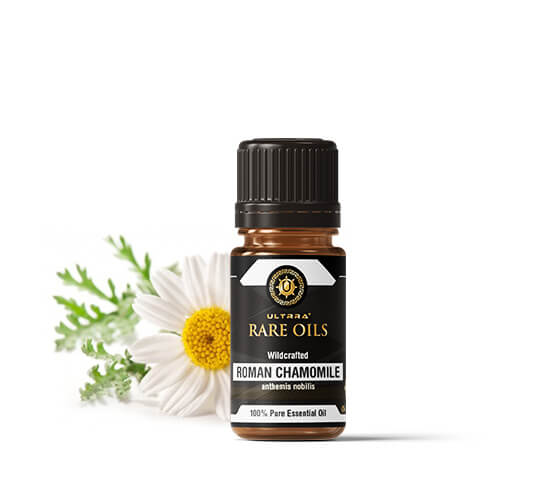 Roman Chamomile